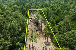 17131 Carrol Ln, Willis, TX 77378 - Photo 49