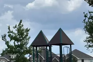 14246 Dos Palos Dr, Houston, TX 77083 - Photo 45