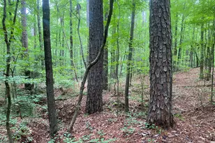 2983 Mallorysville Rd, Other, GA 30668 - Photo 47