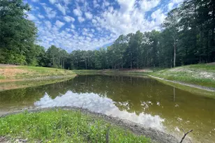 2983 Mallorysville Rd, Other, GA 30668 - Photo 33