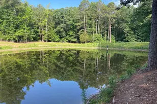 2983 Mallorysville Rd, Other, GA 30668 - Photo 37