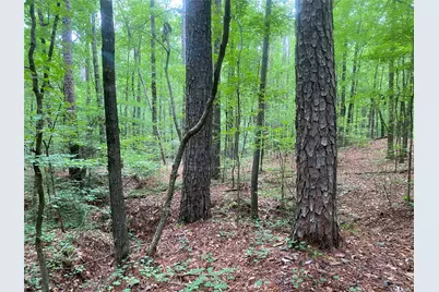 2983 Mallorysville Road, Other, GA 30668 - Photo 47