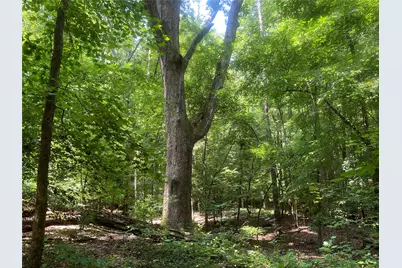 2983 Mallorysville Road, Other, GA 30668 - Photo 43