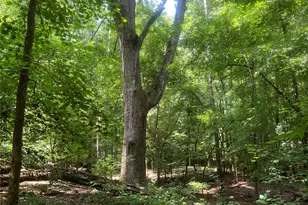 2983 Mallorysville Rd, Other, GA 30668 - Photo 43