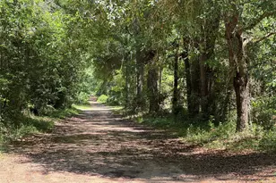 Tbd Holly Grove Rd, Livingston, TX 77351 - Photo 1