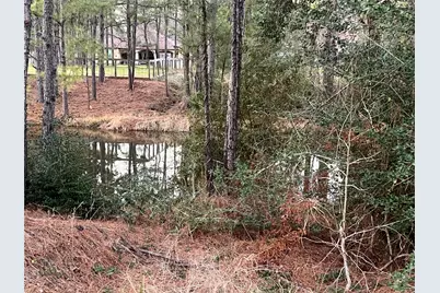 19525 Desna Drive, Porter, TX 77365 - Photo 25