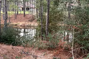 19525 Desna Dr, Porter, TX 77365 - Photo 25