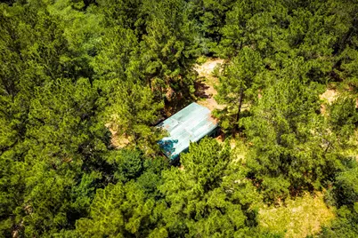 1204 Mangum Road, Livingston, TX 77351 - Photo 9