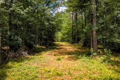 1204 Mangum Road, Livingston, TX 77351 - Photo 15