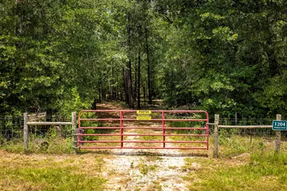 1204 Mangum Road, Livingston, TX 77351 - Photo 13