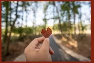 22218 Junction Peak Dr, Porter, TX 77365 - Photo 29