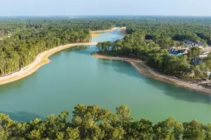 22218 Junction Peak Dr, Porter, TX 77365 - Photo 27