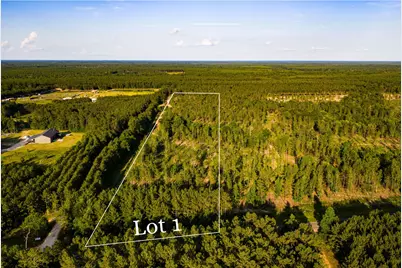 Tbd Lot 1 Fm 1276, Livingston, TX 77351 - Photo 1