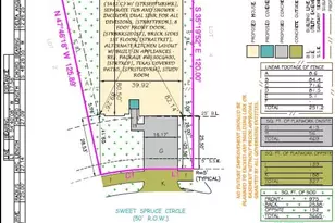 32311 Sweet Spruce Cir, Spring, TX 77386 - Photo 3