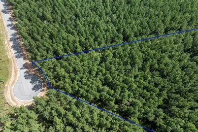 0 Huntsman, Huntsville, TX 77340 - Photo 9