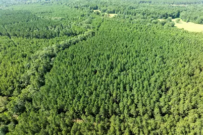 0 Huntsman, Huntsville, TX 77340 - Photo 19