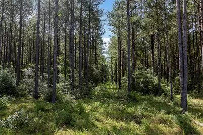 0 Huntsman, Huntsville, TX 77340 - Photo 23