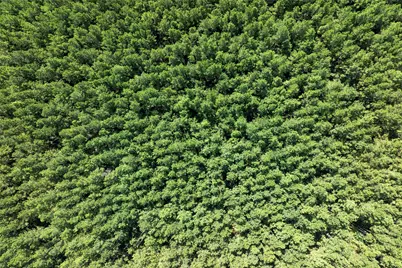 0 Huntsman, Huntsville, TX 77340 - Photo 11