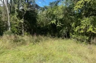 Tbd Lcr 898, Jewett, TX 75846 - Photo 1