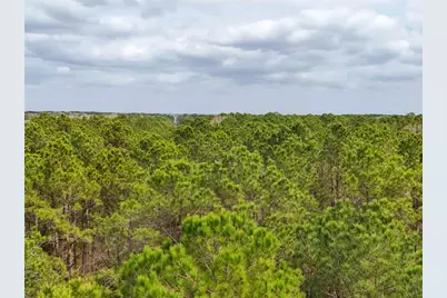 Tbd County Rd 4876, Dayton, TX 77535 - Photo 41