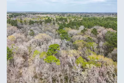 Tbd County Rd 4876, Dayton, TX 77535 - Photo 35