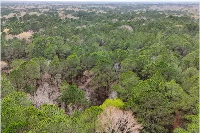 Tbd County Rd 4876, Dayton, TX 77535 - Photo 27