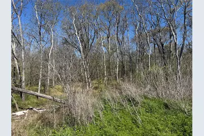 00 Fm 1462, Rosharon, TX 77583 - Photo 3