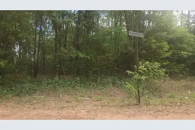Lot 1 Thornwood Drive, Plantersville, TX 77363 - Photo 29