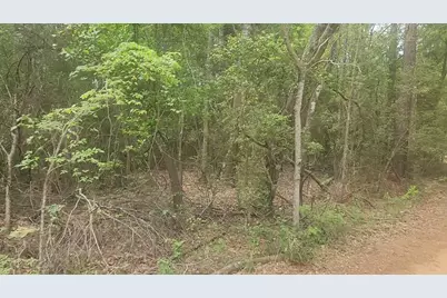 Lot 1 Thornwood Drive, Plantersville, TX 77363 - Photo 3