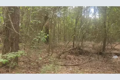 Lot 1 Thornwood Drive, Plantersville, TX 77363 - Photo 13