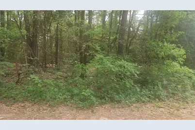 Lot 1 Thornwood Drive, Plantersville, TX 77363 - Photo 23