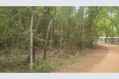 Lot 1 Thornwood Drive, Plantersville, TX 77363 - Photo 3