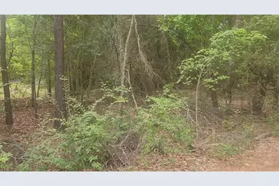 Lot 1 Thornwood Drive, Plantersville, TX 77363 - Photo 37