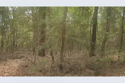 Lot 1 Thornwood Drive, Plantersville, TX 77363 - Photo 7