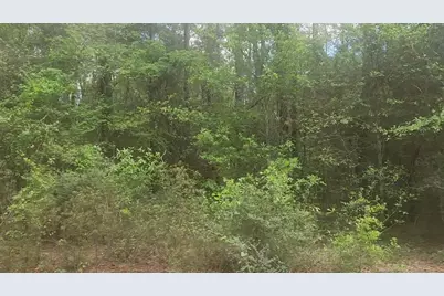 Lot 1 Thornwood Drive, Plantersville, TX 77363 - Photo 33