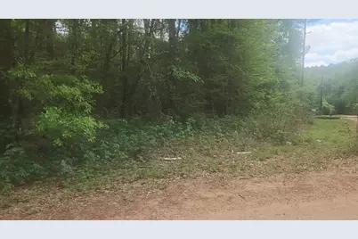 Lot 1 Thornwood Drive, Plantersville, TX 77363 - Photo 25