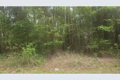 Lot 1 Thornwood Drive, Plantersville, TX 77363 - Photo 31