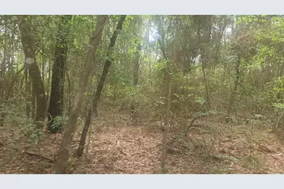 Lot 1 Thornwood Drive, Plantersville, TX 77363 - Photo 9