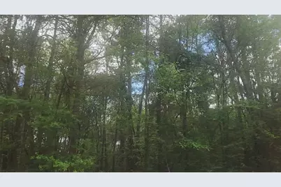 Lot 1 Thornwood Drive, Plantersville, TX 77363 - Photo 27