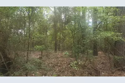 Lot 1 Thornwood Drive, Plantersville, TX 77363 - Photo 15