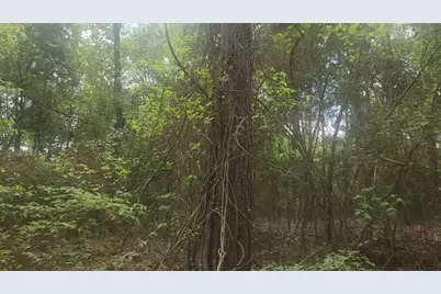 Lot 1 Thornwood Drive, Plantersville, TX 77363 - Photo 11