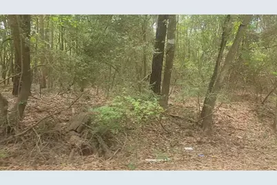 Lot 1 Thornwood Drive, Plantersville, TX 77363 - Photo 9