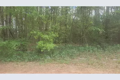 Lot 1 Thornwood Drive, Plantersville, TX 77363 - Photo 27