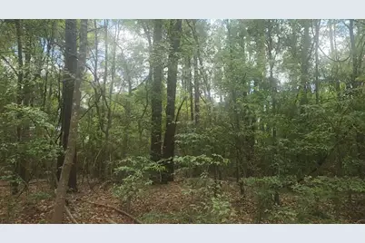 Lot 1 Thornwood Drive, Plantersville, TX 77363 - Photo 19