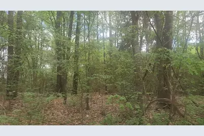 Lot 1 Thornwood Drive, Plantersville, TX 77363 - Photo 21