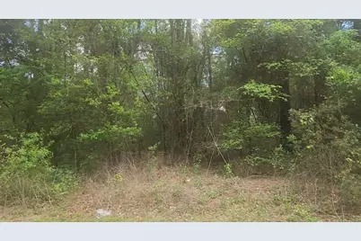 Lot 1 Thornwood Drive, Plantersville, TX 77363 - Photo 31