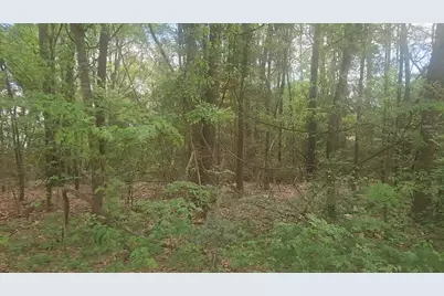 Lot 1 Thornwood Drive, Plantersville, TX 77363 - Photo 23