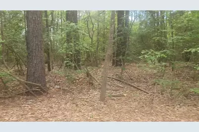 Lot 1 Thornwood Drive, Plantersville, TX 77363 - Photo 17