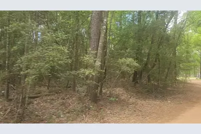 Lot 1 Thornwood Drive, Plantersville, TX 77363 - Photo 5