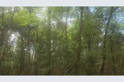 Lot 1 Thornwood Drive, Plantersville, TX 77363 - Photo 7